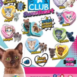 kitty club sweetheart - 1€